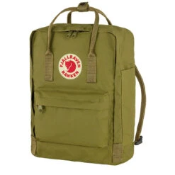 Fjallraven Kanken Classic Backpack Foliage Green -Fjallraven Backpacks Sales 23905 3